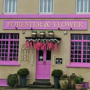 The Forester And Flower Gasthuis Bath